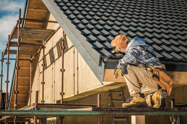 Best Roof Ventilation Installation  in Advance, MO