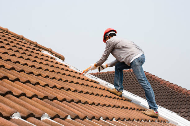 Best Roof Moss and Algae Removal  in Advance, MO